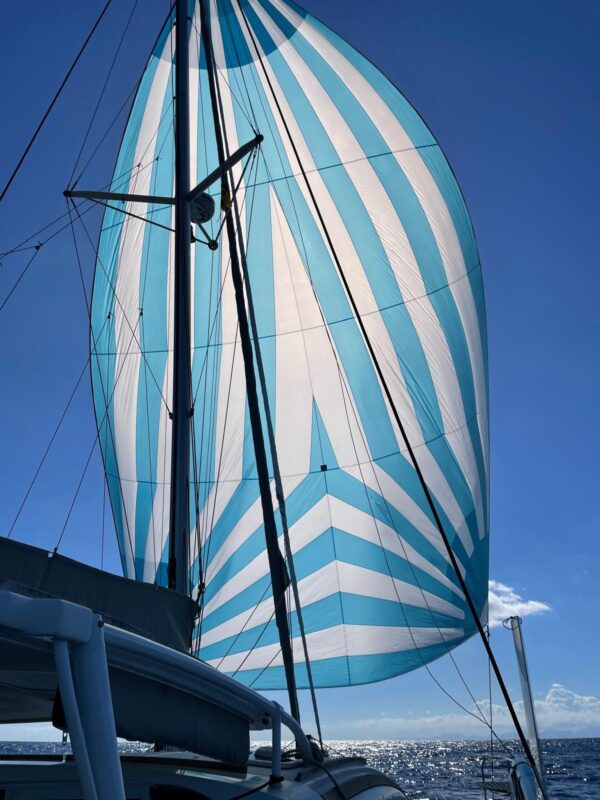 Catana CATANA 42 Carbon Infusion - Owner's Version – Bild 3