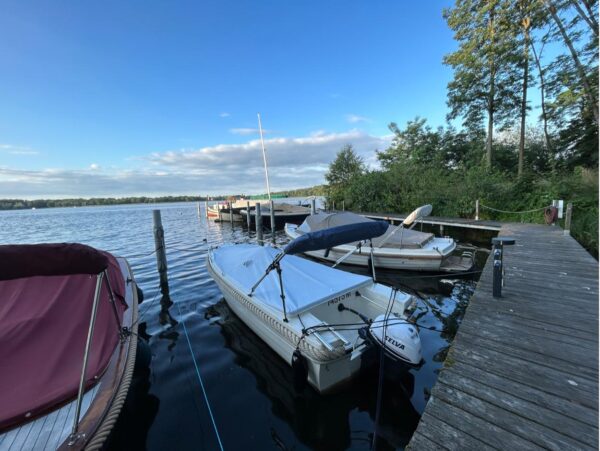 Forte 500 – Bild 2